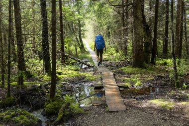 Yaz mevsiminde Münih St. James, Bavyera, Almanya 'da Pilgrim