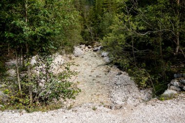Sonbaharda Avusturya 'nın Scharnitz kentindeki Isar Nehri kaynaklı manzara