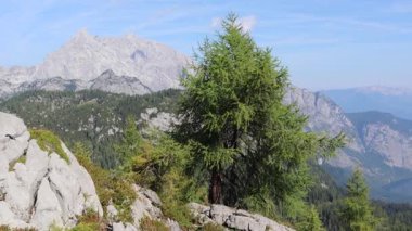 Feldkogel Dağı 'ndan Konigssee Gölü' nün yan görüntüsü, 4K