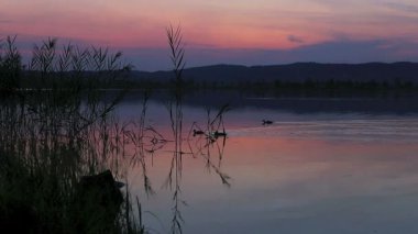 Almanya, Bavyera, Kochelsee Gölü 'nde yaz mevsiminde gün batımı