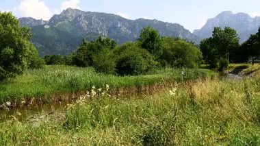 Almanya 'nın Bavyera Alpleri' nde nehir manzaralı, yüksek çözünürlüklü bir klip.