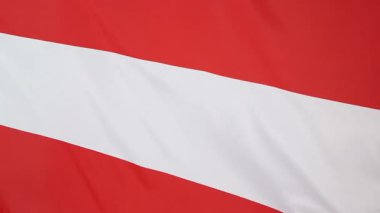 Avusturya ulusal bayrak closeup