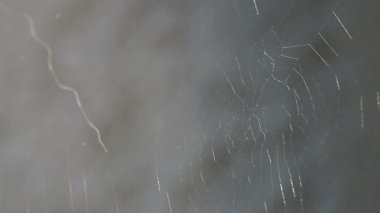 Bir örümceğin ağı, yüksek çözünürlüklü klip