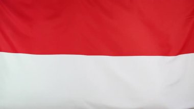 Rüzgara karşı hareket Endonezya ulusal bayrak