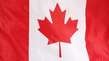 Rüzgara karşı hareket Kanada bayrağı Tekstil