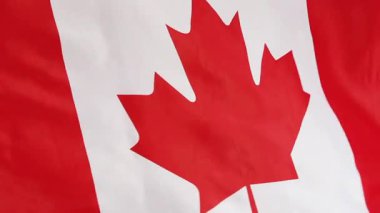 Rüzgara karşı hareket Kanada bayrağı Tekstil