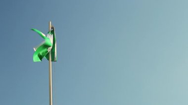 Mavi gökyüzünün önündeki bayrak direğine Nijerya bayrağı istiyorum.