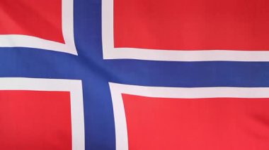 Kumaş rüzgarda hareket Norveç bayrağı