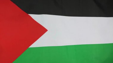 Rüzgar Filistin Ulusal bir bayrak closeup