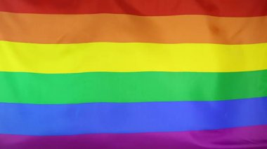Rüzgarda gökkuşağı bayrağı, LGBTQ