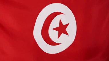 Tunus Tekstil bayrağı closeup   
