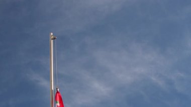 Mavi gökyüzünün önünde Macaristan 'ın ulusal bayrağını göndere çek