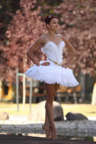 Slim Sexy Mujer Bailarina Blanco Tutú —  Fotos de Stock