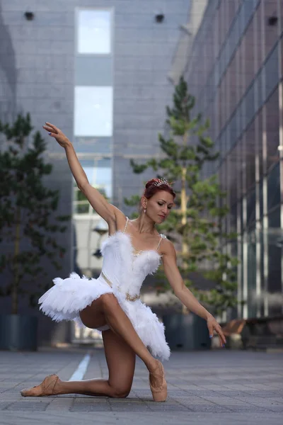 Slanke Sexy Vrouw Ballerina Wit Tutu — Stockfoto