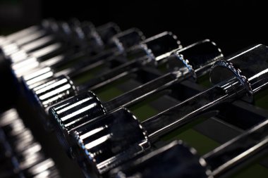 rack with chrome dumbbells in the gym