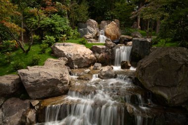 Kyoto Garden 'daki Japon göleti, Holland Park, Londra, İngiltere