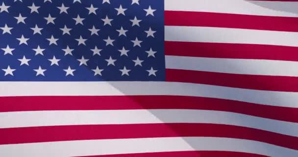 Waving Wind Usa Flag Background Texture Fabric Render — Vídeo de Stock