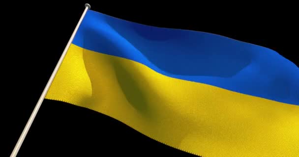 Bandeira Ucrânia Com Textura Tecido Renderização — Vídeo de Stock