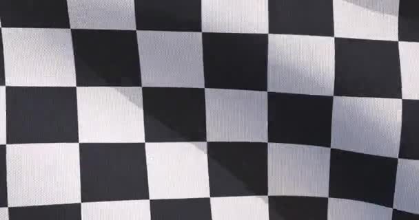 Bandeira Corrida Xadrez Com Textura Tecido Renderização — Vídeo de Stock