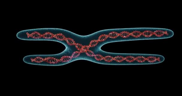 Тло Структури Молекули Днк Хромосома Візуалізація — стокове відео