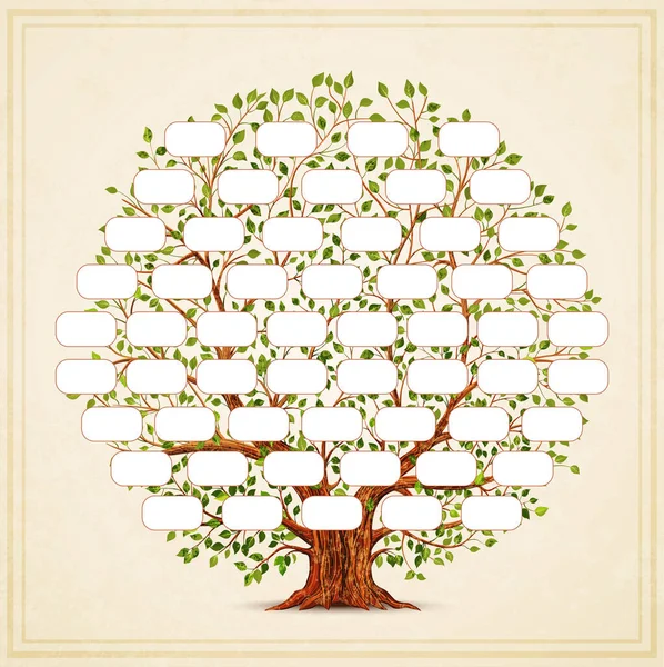 Шаблон Семейного Древа Генеалогия Родословная Винтажный Стиль Ретро Дизайна Векторная — стоковый вектор
