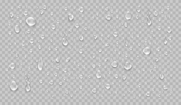 Νερό Σταγόνες Ρεαλιστικό Απομονωμένο Που Διαφανές Φόντο Εικονογράφηση Διανύσματος — Διανυσματικό Αρχείο