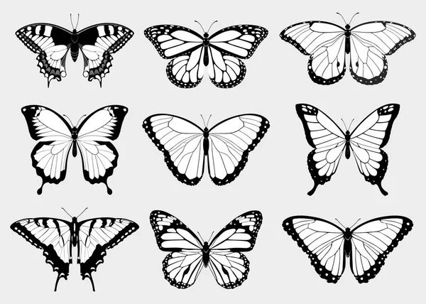 Изолированная Векторная Коллекция Силуэтов Черно Белых Бабочек Верхнего Вида — стоковый вектор