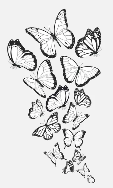 Composición Las Mariposas Blancas Negras Del Grupo Que Vuelan Floc — Vector de stock
