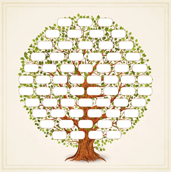 Retro Tasarım Için Klasik Aile Ağacı Şablonu Soyağacı Soy Ağacı Vektör Grafikler
