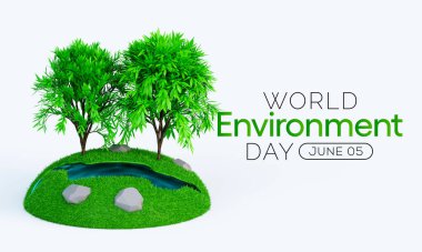 Dünya Çevre Günü her yıl 5 Haziran 'da gözlemlenmekte ve deniz kirliliğinden, insan nüfusunun fazlalığından kaynaklanan çevre sorunlarına yönelik farkındalığı artırmak için bir sancak gemisi kampanyası olmuştur. 3B Hazırlama