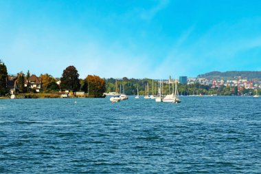 12 Ekim 2023 'te, öğleden sonra, Zürih Gölü' nün cazibesini görmek için bir tekne bileti aldım, sonra da tepedeki, dağdaki, dağdaki ve mavi gökyüzü altındaki ağaçlardan oluşan manzarasının fotoğraflarını çektim, ve bazen de yelkenli teknelerinin. .