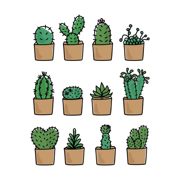 Cute Cactus Hand Drawn Cactus Vector Illustration — Stock Vector