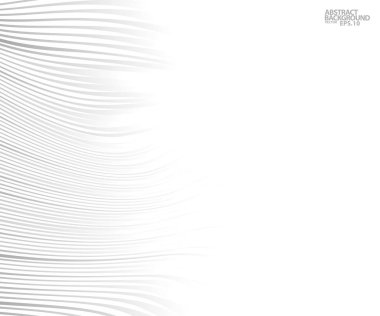 Fikirleriniz için soyut gri beyaz dalgalar ve çizgi desenleri, şablon arkaplan dokusu. vektör - illüstratör