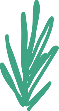 Bahar doğa element tasarımı