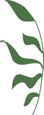 Bahar doğa element tasarımı