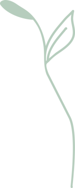 Bahar doğa element tasarımı