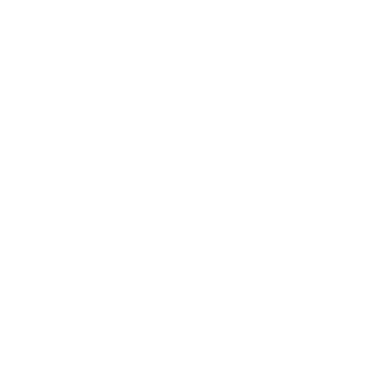 Daire çizimleri, dalların bağcıklarını çerçeveler. Dekoratif elementler, yapraklar, botanik, süsleme, ödül, simge