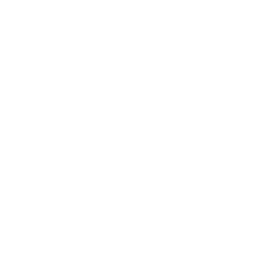 Daire çizimleri, dalların bağcıklarını çerçeveler. Dekoratif elementler, yapraklar, botanik, süsleme, ödül, simge