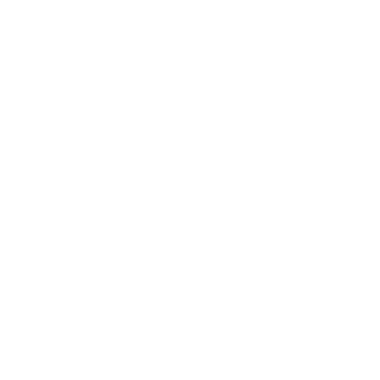 Daire çizimleri, dalların bağcıklarını çerçeveler. Dekoratif elementler, yapraklar, botanik, süsleme, ödül, simge