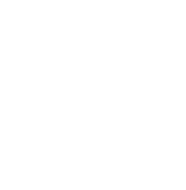 Daire çizimleri, dalların bağcıklarını çerçeveler. Dekoratif elementler, yapraklar, botanik, süsleme, ödül, simge