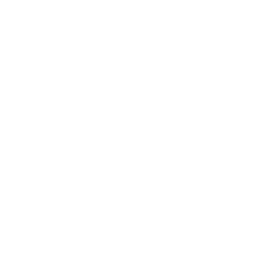 Daire çizimleri, dalların bağcıklarını çerçeveler. Dekoratif elementler, yapraklar, botanik, süsleme, ödül, simge