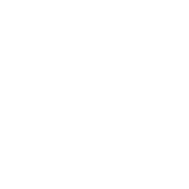 Daire çizimleri, dalların bağcıklarını çerçeveler. Dekoratif elementler, yapraklar, botanik, süsleme, ödül, simge