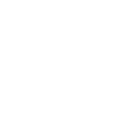 Daire çizimleri, dalların bağcıklarını çerçeveler. Dekoratif elementler, yapraklar, botanik, süsleme, ödül, simge