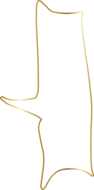 Altın konuşma balonu lüks simgesi, diyalog, metin, sohbet