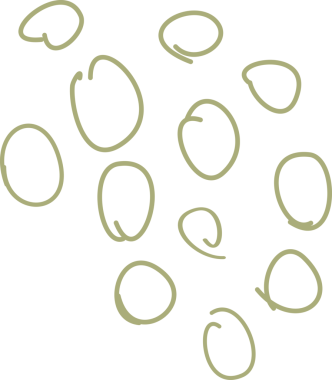 Çizgi karalama dekorasyonu ögesi