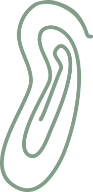 Çizgi karalama dekorasyonu ögesi