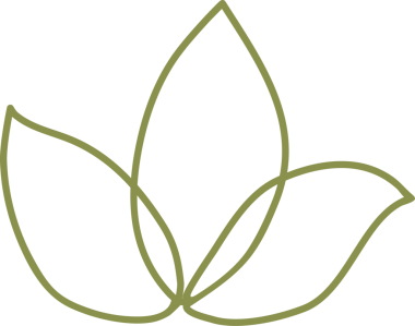 Çizgi karalama dekorasyonu ögesi