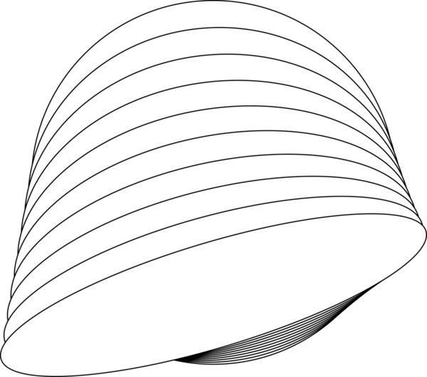 Rozetler, logolar, etiketler, afişler için oval beyaz çerçeve örtüşüyor