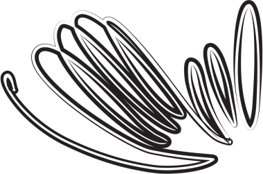 Dekoratif sınır. Çiçekli ve eski