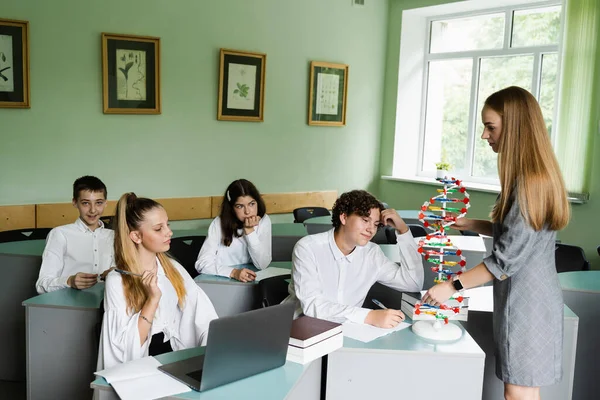 Biology teacher gives a lesson to pupils in classroom. Schoolchildren at biology lesson at school with DNA model on the table. Education at school of biology and chemistry
